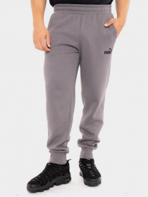 Штаны спортивные PUMA Essentials Logo модель 58671515 Фото