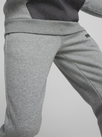 Спортивный костюм PUMA Hooded Tracksuit модель 67003403 Фото