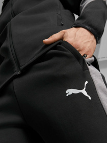 Штаны спортивные PUMA Evostripe модель 84991701 Фото