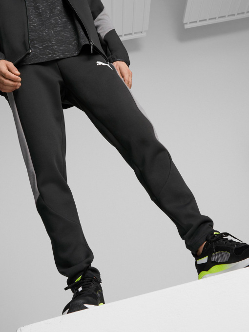 Спортивні штани PUMA Evostripe модель 84991701 Фото