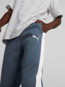 Штаны спортивные PUMA Evostripe модель 84991718 Фото