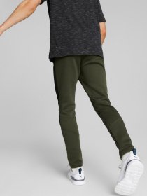 Штаны спортивные PUMA Evostripe модель 84991770 Фото