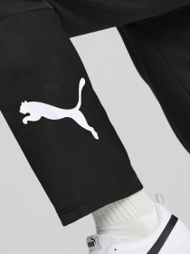 Штаны спортивные PUMA Power Cat модель 84992701 Фото