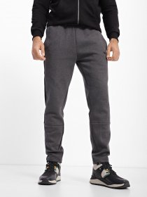 Штаны спортивные PUMA Evostripe Core модель 58581407 Фото