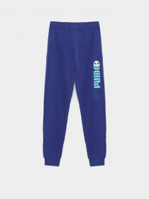 Штаны спортивные PUMA Paw модель 58622412 Фото