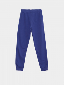 Штаны спортивные PUMA Paw модель 58622412 Фото