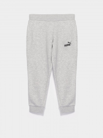 Спортивні штани PUMA Essentials модель 58703704 Фото