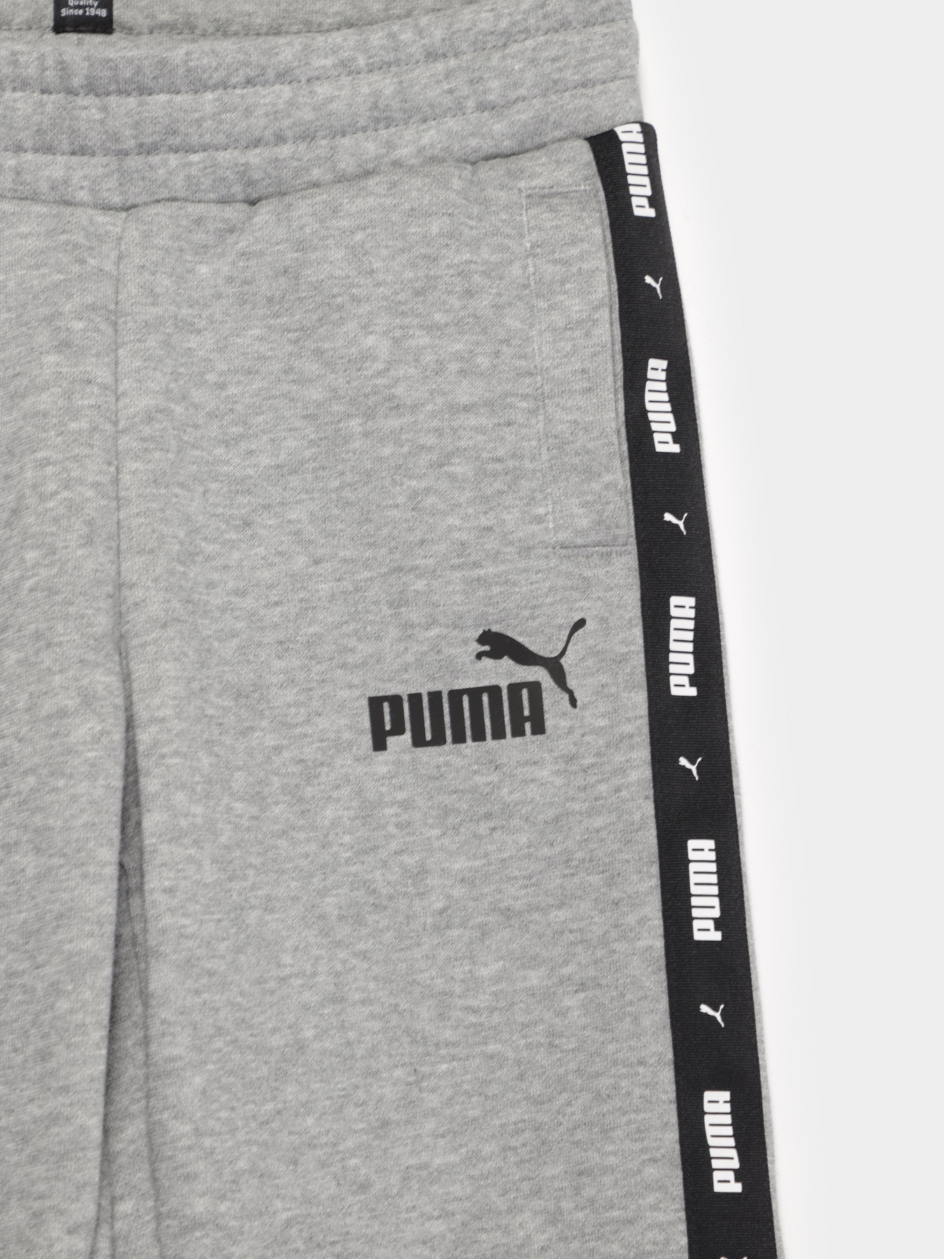 Штаны спортивные PUMA Essentials+ модель 84730203 Фото