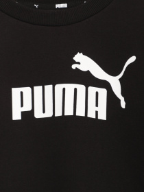 Спортивный костюм PUMA Essentials No. 1 модель 67088401 Спортивный костюм PUMA Essentials No. 1 модель 67088401 Фото