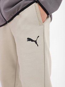 Штаны спортивные PUMA Day in Motion модель 67110468 Фото