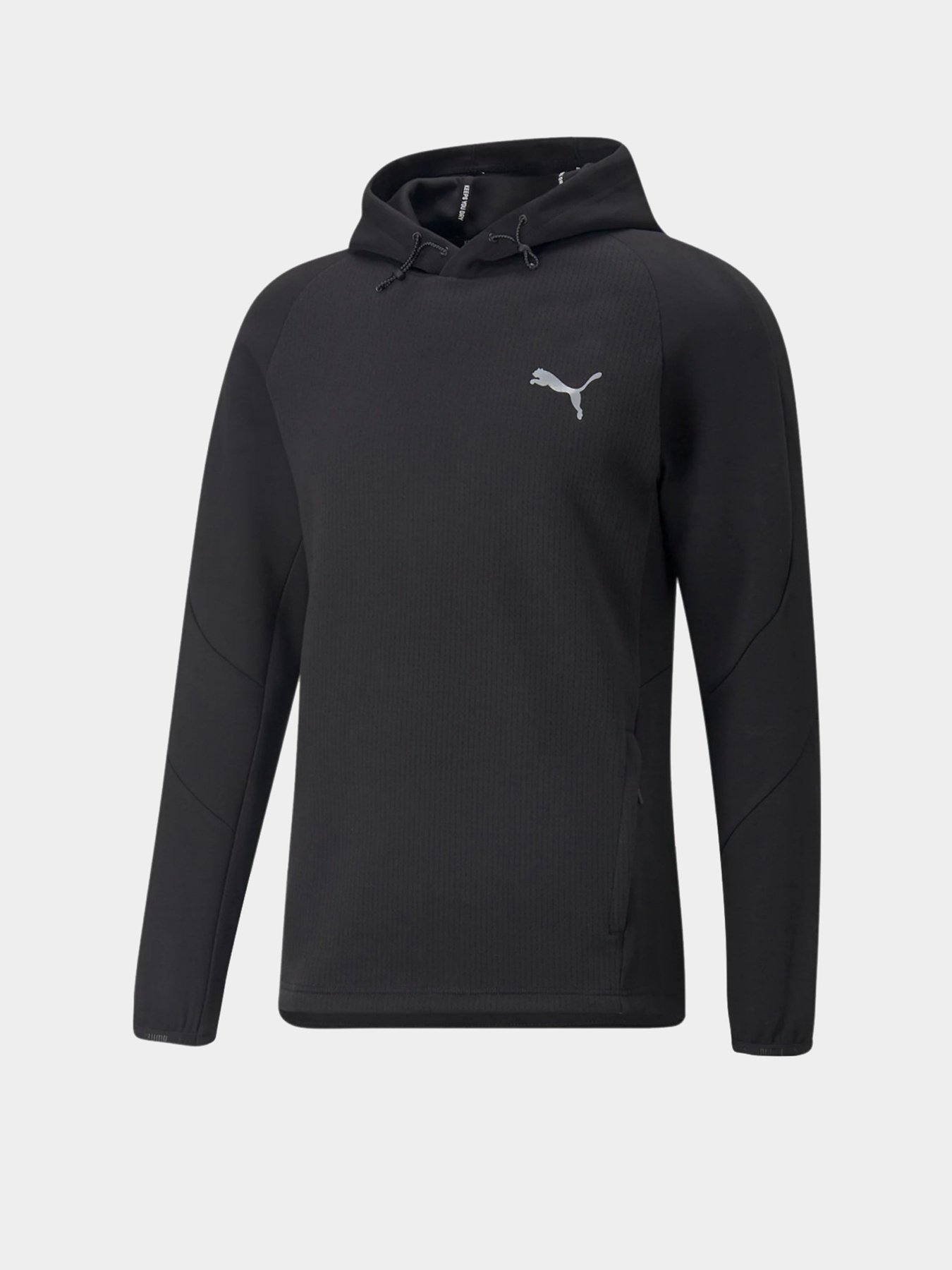 Спортивная кофта PUMA Evostripe модель 84991401 Фото