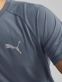 Футболка спортивная PUMA Evostripe модель 84991318 Фото