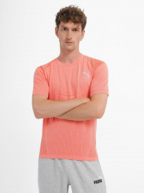 Спортивна футболка PUMA EVOKNIT модель 52151225 Фото