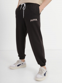 Штаны спортивные PUMA TEAM модель 53826101 Фото