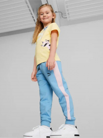 Штаны спортивные PUMA MATES T7 модель 53847393 Фото