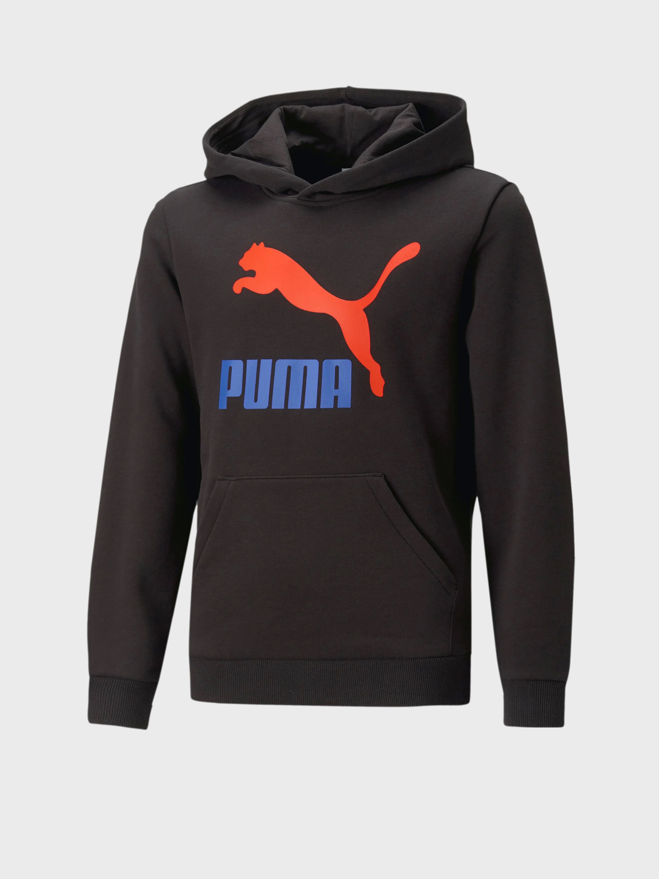 Худи PUMA Classics модель 53952701 Фото