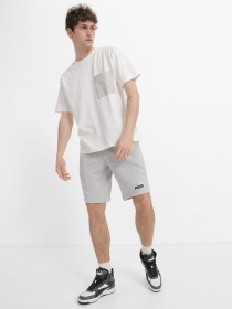 Шорты спортивные PUMA ESS+ 2 Col Shorts модель 58676604 Фото