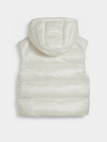 Утеплений жилет PUMA SHINY PUFFER модель 62651887 Утеплений жилет PUMA SHINY PUFFER модель 62651887 Фото