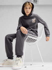 Худі PUMA ESS+ MID 90S модель 68187769 Фото