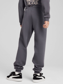 Спортивні штани PUMA ESS+ MID 90S модель 68187869 Фото