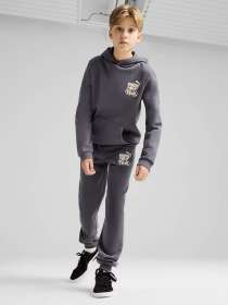 Спортивні штани PUMA ESS+ MID 90S модель 68187869 Фото