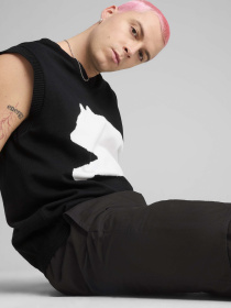 Спортивні шорти PUMA FUTURE.PUMA.ARCHIVE RELAXED модель 62969201 Спортивні шорти PUMA FUTURE.PUMA.ARCHIVE RELAXED модель 62969201 Фото