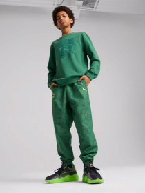 Свитшот PUMA Hoops x TMNT модель 63008537 Фото