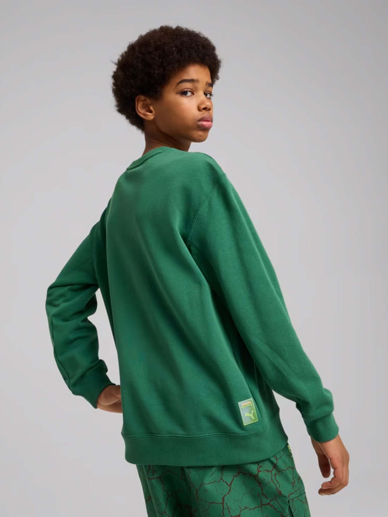 Свитшот PUMA HOOPS X TMNT модель 63008537 Фото