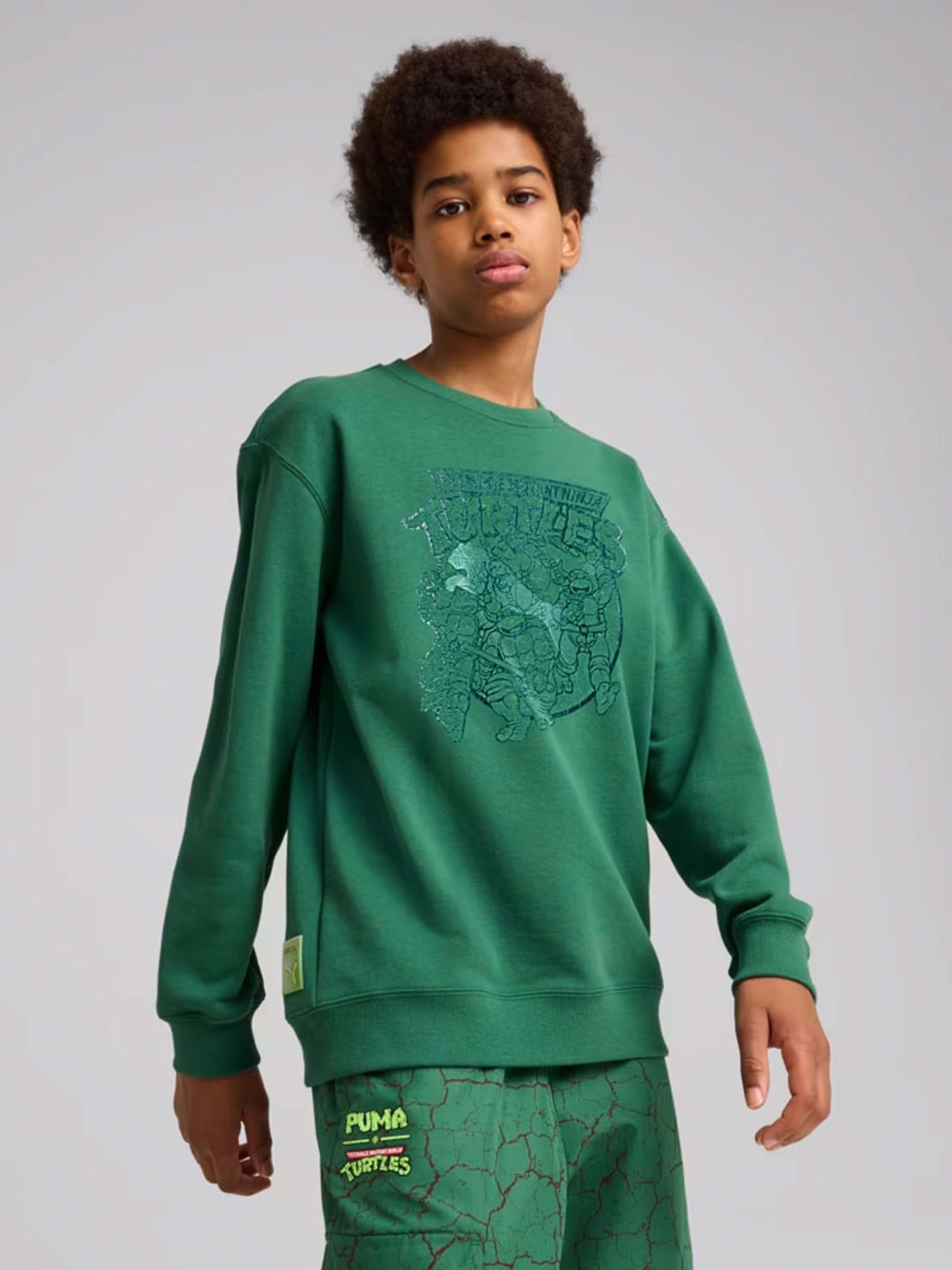 Свитшот PUMA HOOPS X TMNT модель 63008537 Фото