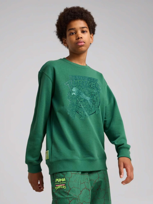 Свитшот PUMA HOOPS X TMNT модель 63008537 Фото