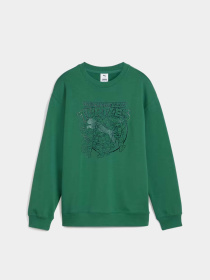 Свитшот PUMA HOOPS X TMNT модель 63008537 Фото