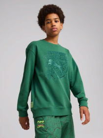 Свитшот PUMA HOOPS X TMNT модель 63008537 Фото