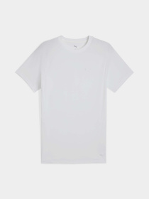 Футболка PUMA Evostripe модель 68461102 Фото