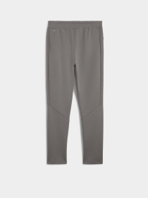 Штаны спортивные PUMA Evostripe модель 68461479 Фото