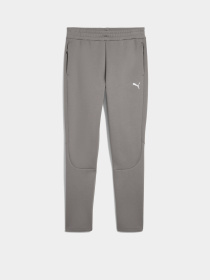 Спортивні штани PUMA EVOSTRIPE модель 68461479 Фото