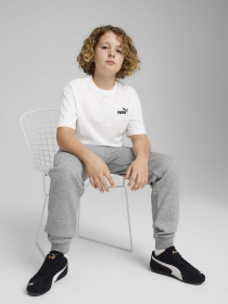 Футболка PUMA ESSENTIALS SMALL NO. 1 LOGO RE модель 68492002 Фото