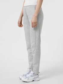 Штаны спортивные PUMA Evostripe модель 68505104 Фото