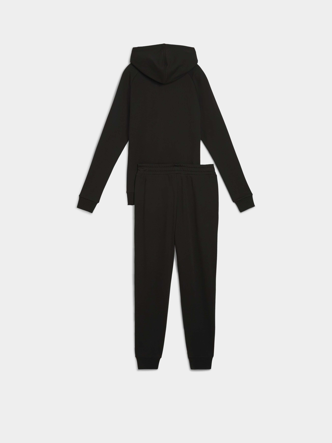 Спортивный костюм PUMA HOODED SWEAT модель 68507701 Фото