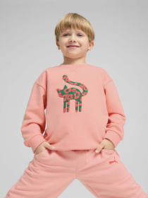 Свитшот PUMA CATS CLUB CREW модель 68516218 Фото