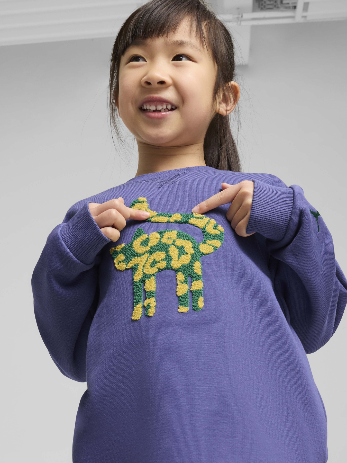 Свитшот PUMA CATS CLUB CREW модель 68516246 Фото