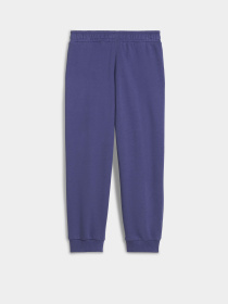 Штаны спортивные PUMA CATS CLUB модель 68516346 Фото