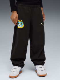 Штаны спортивные PUMA Moody Cat Sweatpants Kids модель 63220901 Фото