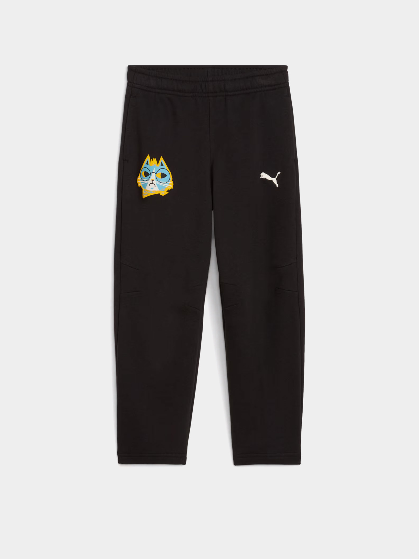 Спортивні штани PUMA MOODY CAT SWEATPANTS KIDS модель 63220901 Фото