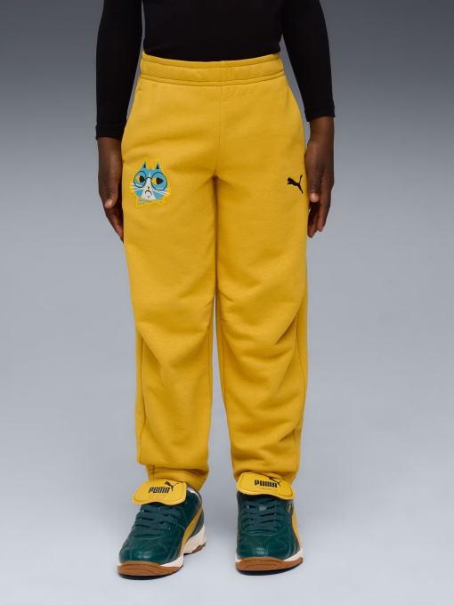 Штаны спортивные PUMA MOODY CAT SWEATPANTS KIDS модель 63220962 Фото