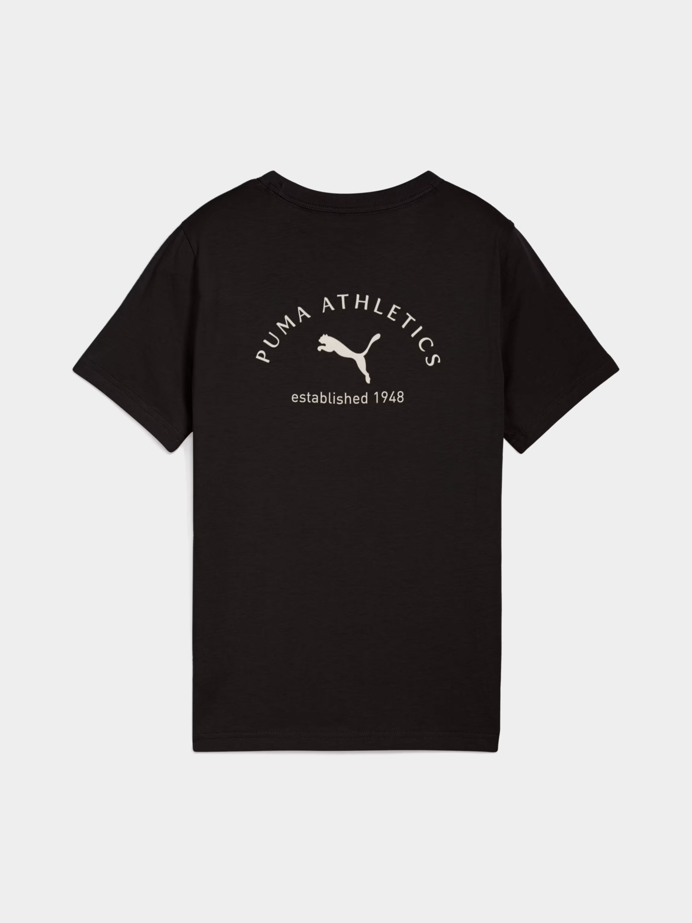 Футболка PUMA Class Graphic Tee модель 68885001 Фото