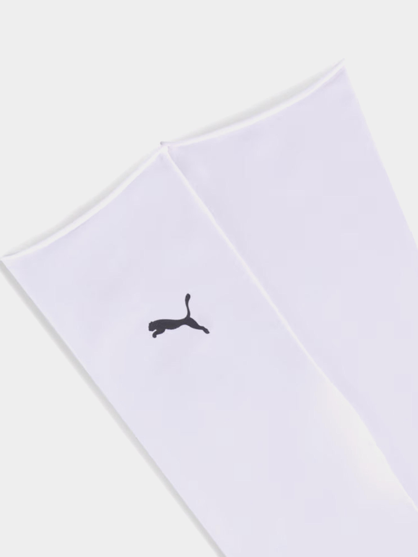 Шкарпетки PUMA SHEER SOCK 1P модель 94722501 Фото