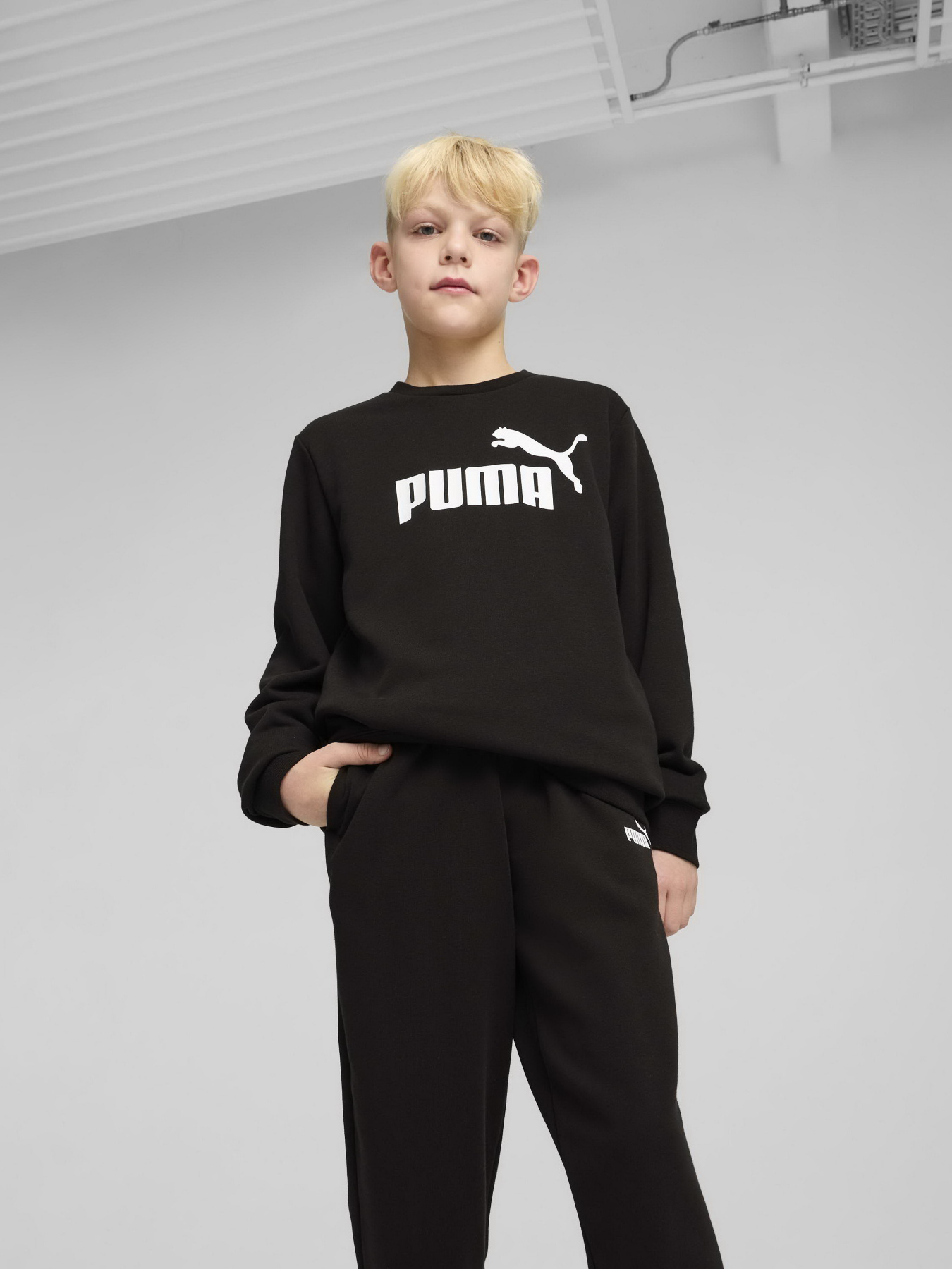 Спортивный костюм PUMA ESS NO.1 LOGO CREW SWEAT SUIT модель 68629601 Фото