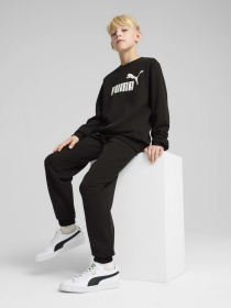 Спортивный костюм PUMA ESS NO.1 LOGO CREW SWEAT SUIT модель 68629601 Фото