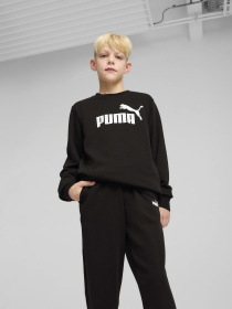 Костюми PUMA ESS NO.1 LOGO CREW SWEAT SUIT модель 68629601 Фото