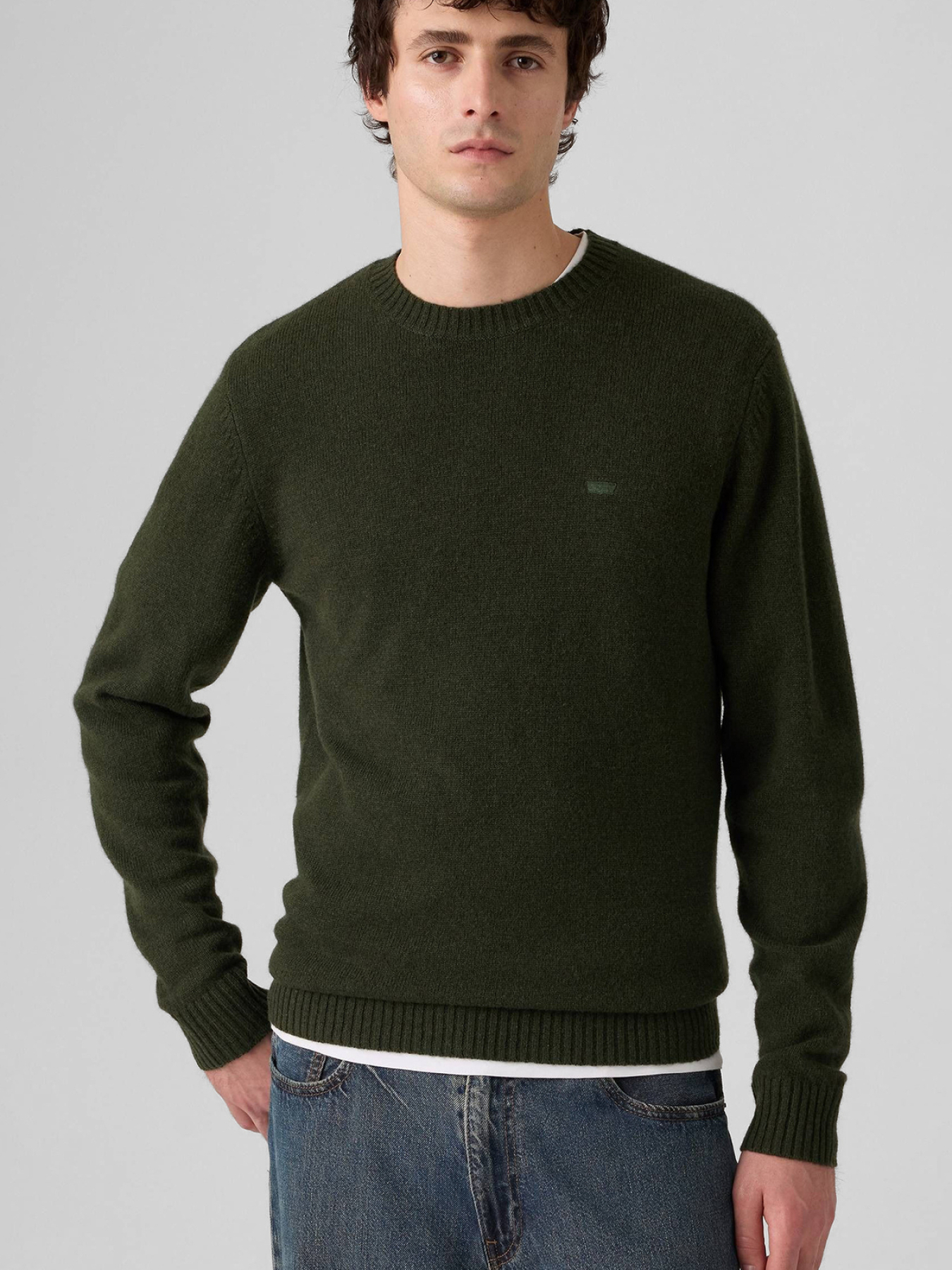 Джемпер Levi's модель A4320;0025 Джемпер Levi's модель A4320;0025 Фото